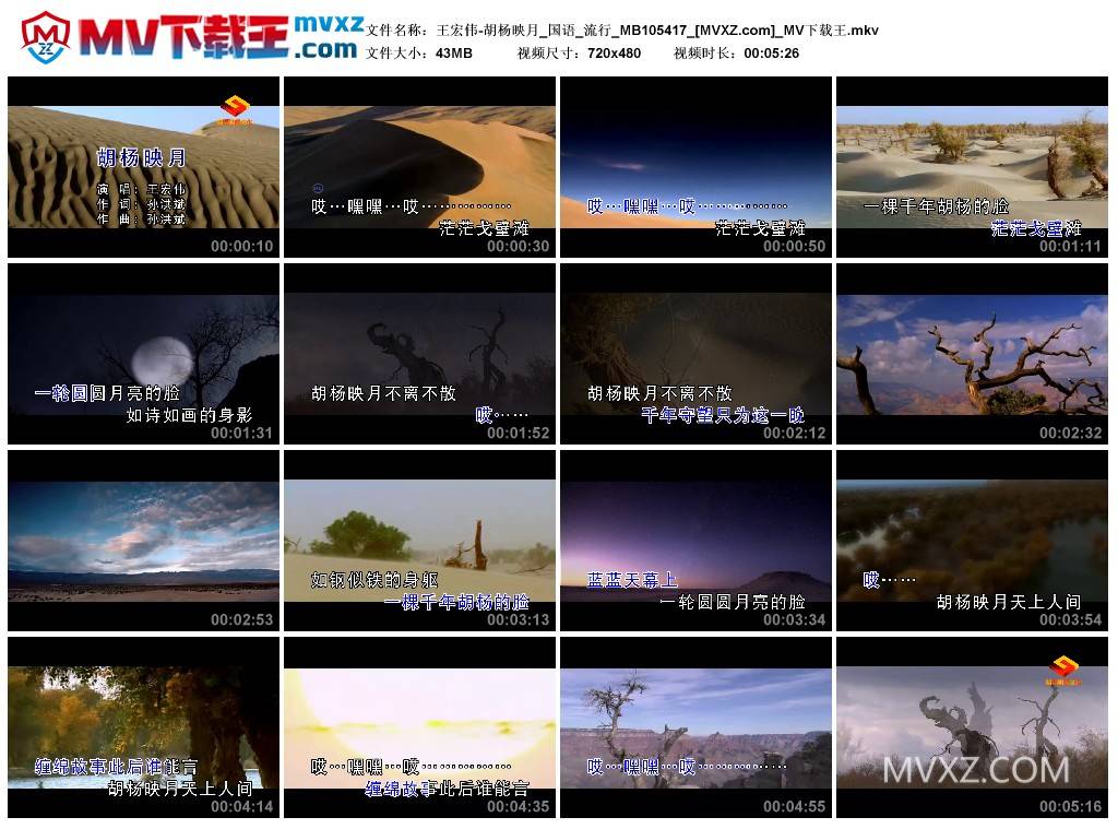 王宏伟-胡杨映月_国语_流行_MB105417